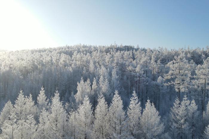 內(nèi)蒙古大興安嶺：霧凇雪景宛若冰雪童話(huà)世界