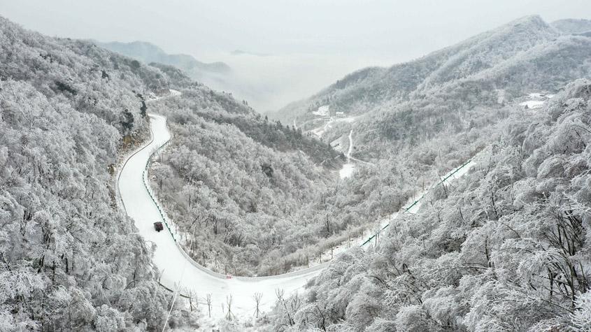 湖北?？惮F(xiàn)森林霧凇景觀 如水墨畫(huà)卷